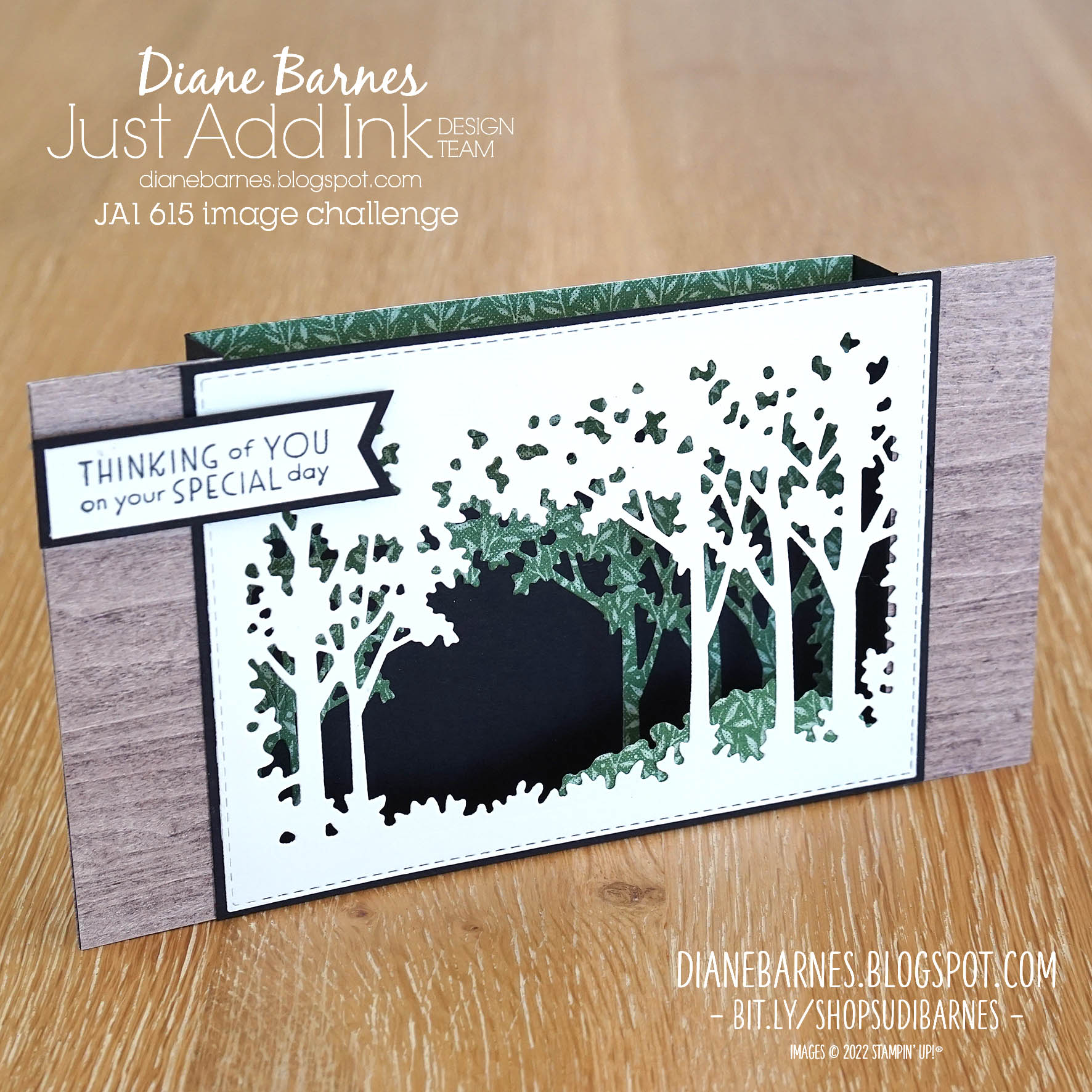 220801 serene grove birthday bridge card jai 615 1