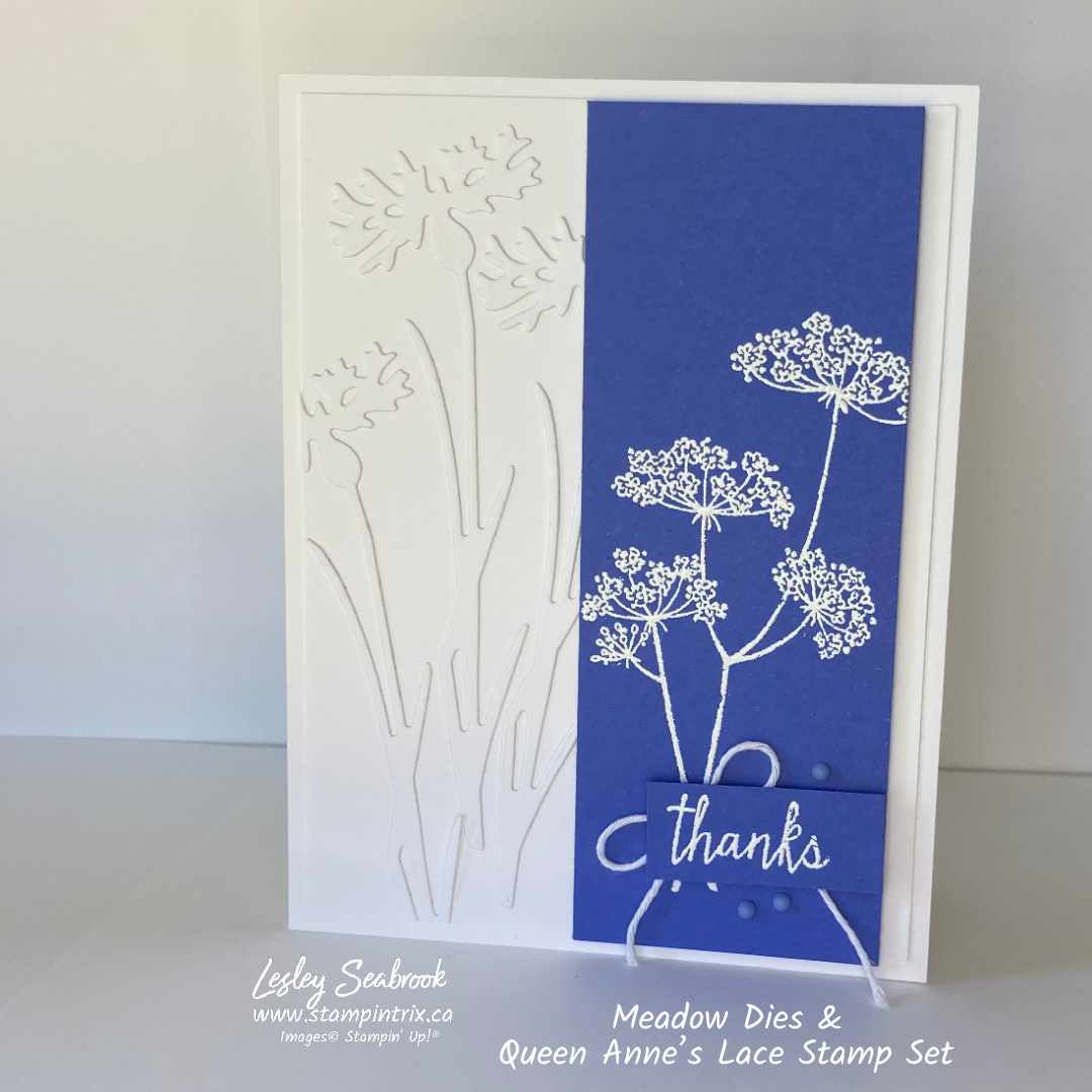 Meadow dies   queen anne s lace stamp set