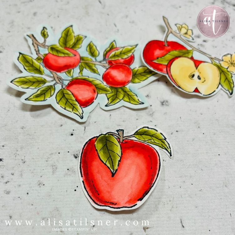 Apple harvest images
