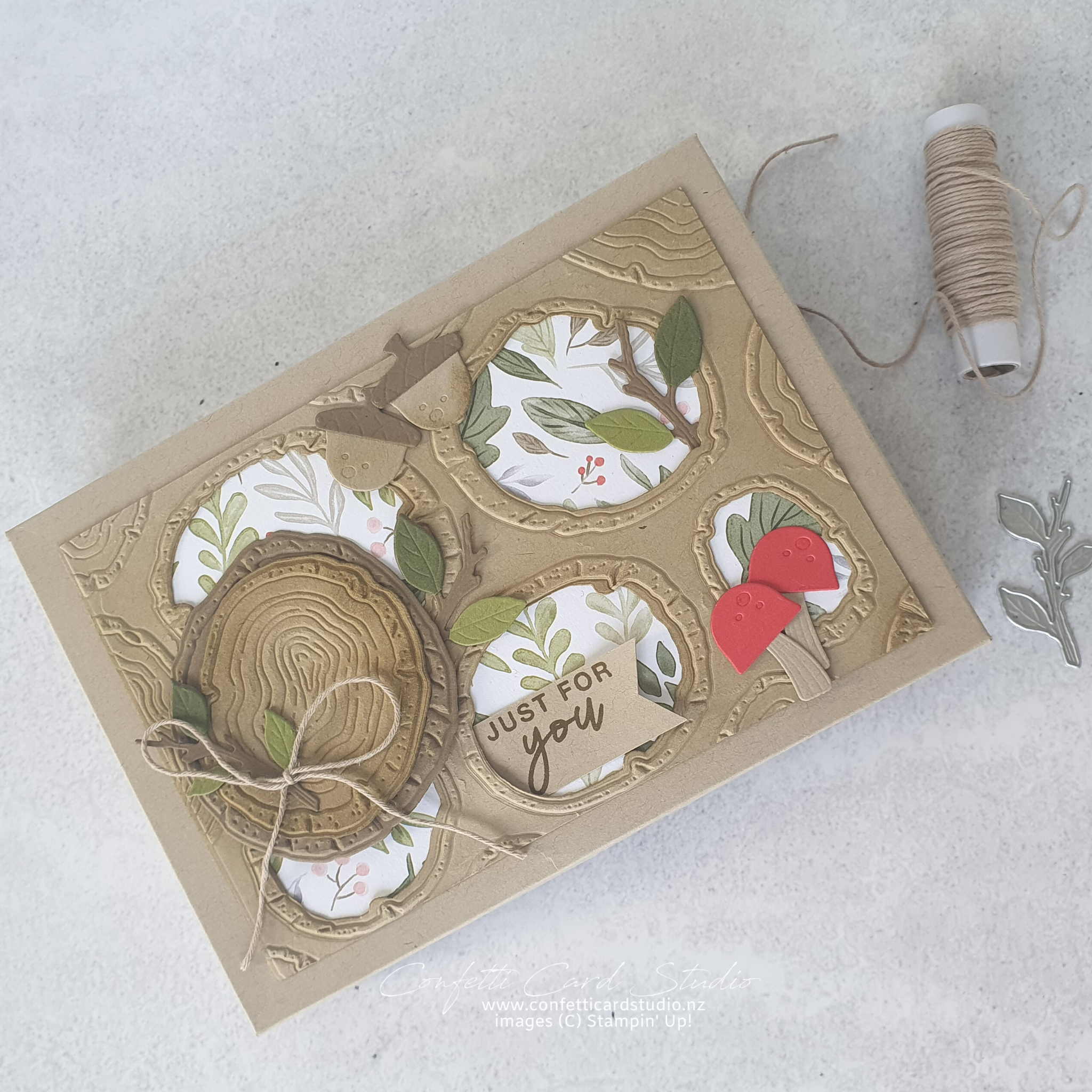 Ringed with nature card box sq logo 2
