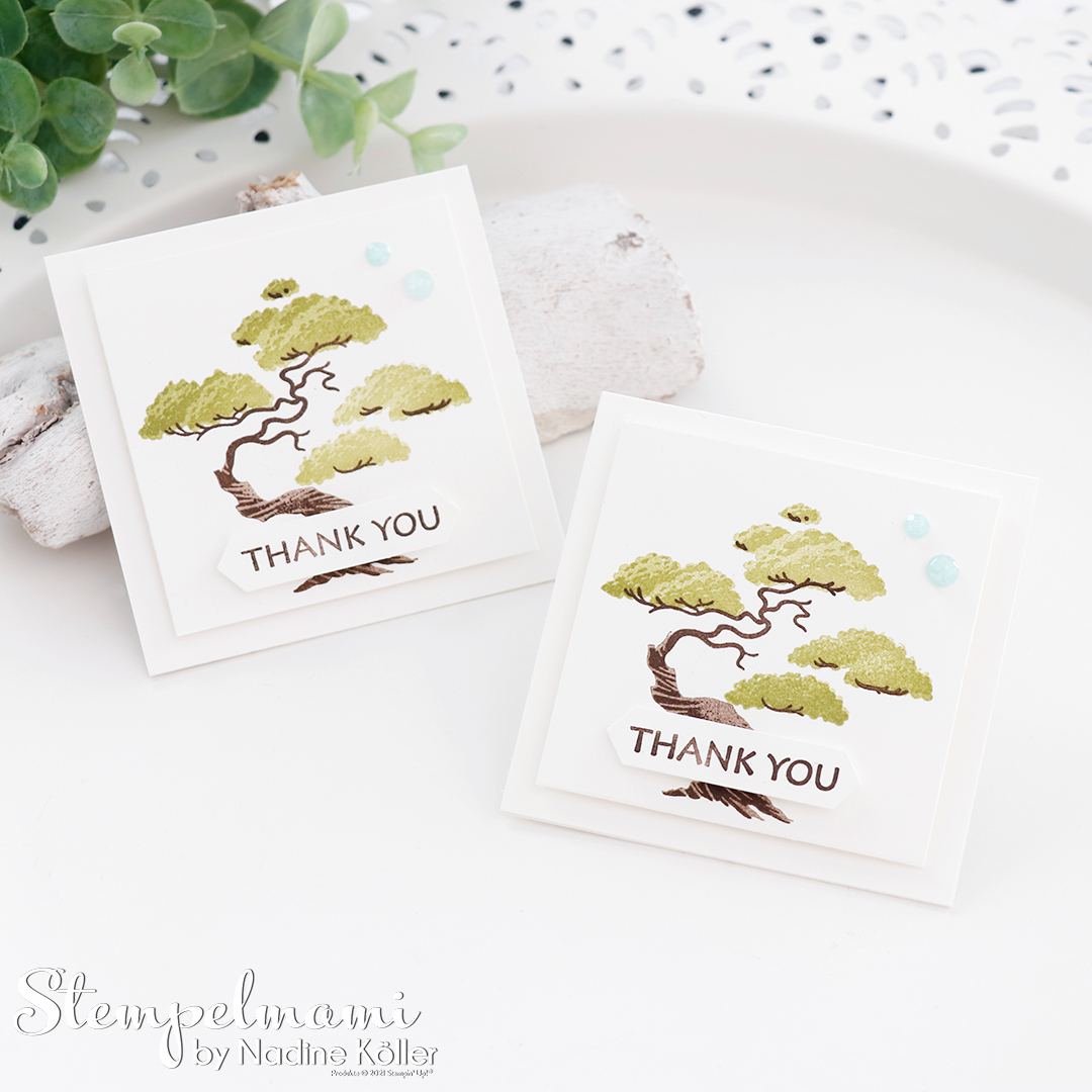 Stampin up clean and simple mini dakeskarte treasured kindness stempelmami