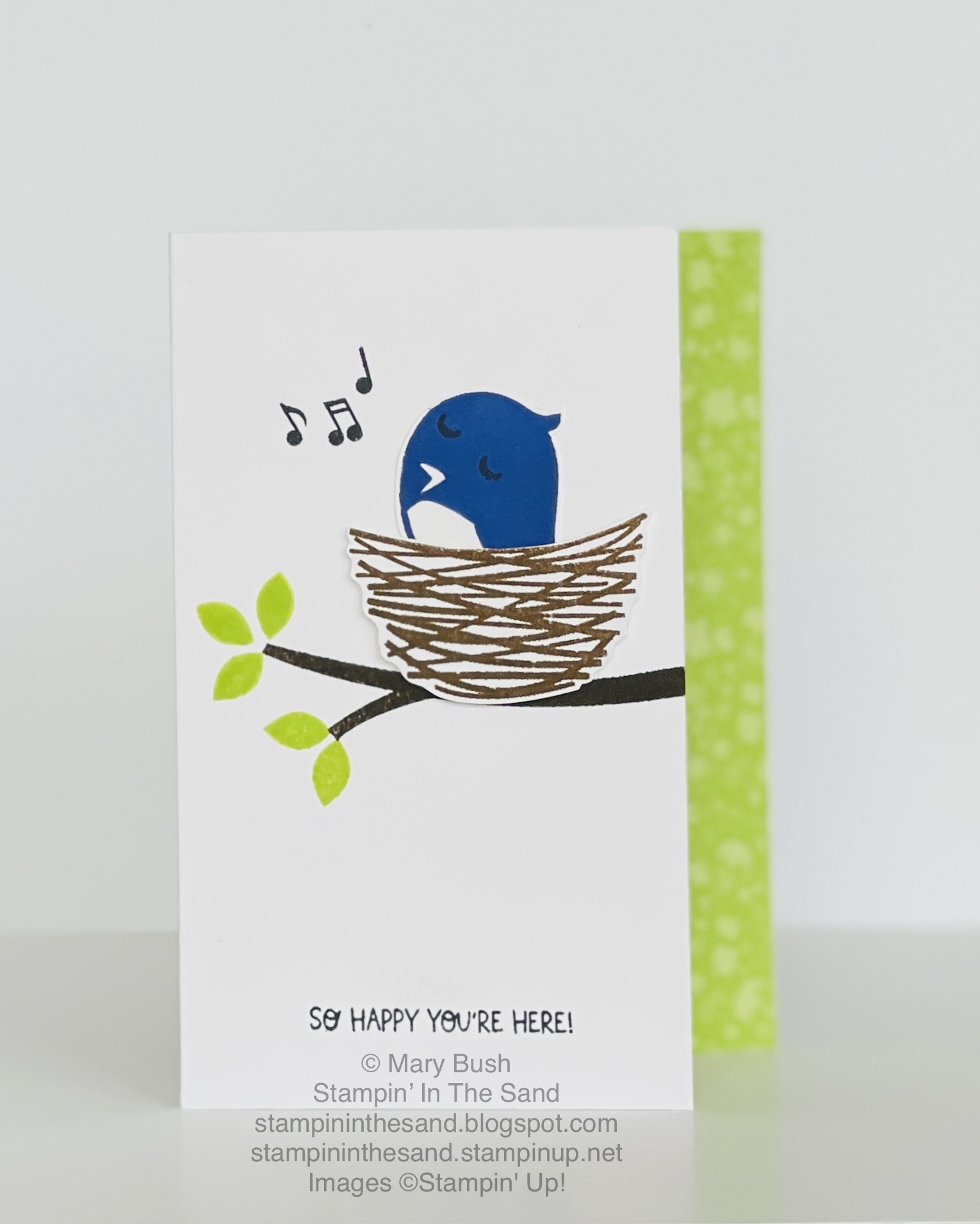 Sweetsongbirdsincolorclubcard