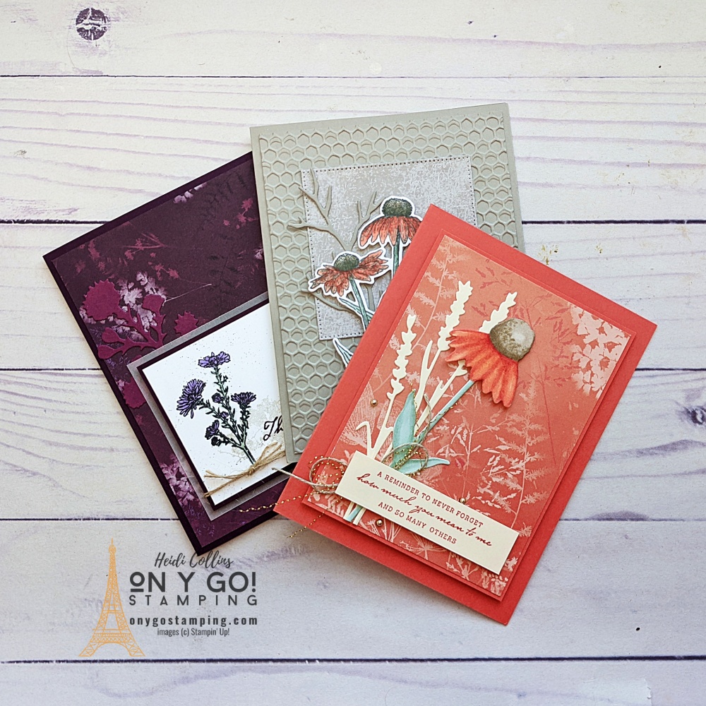 Batch 2pxl 20220901 201438689