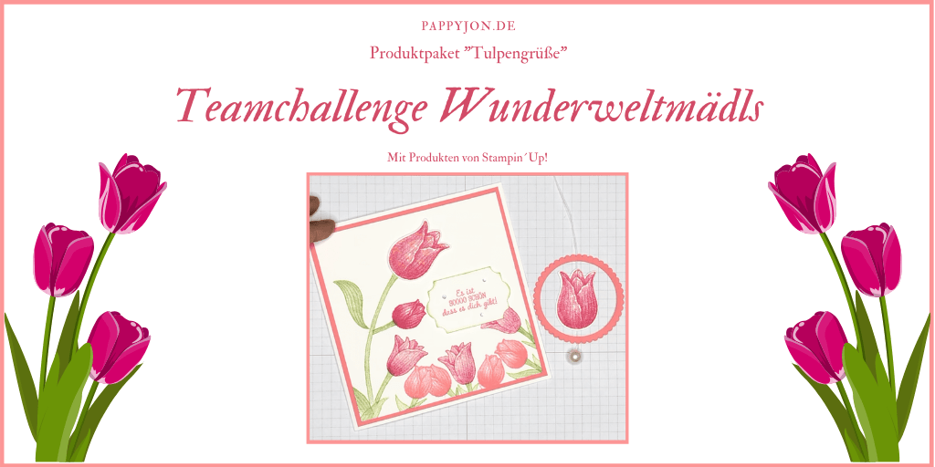 Teamchallenge wunderweltmaedls twitter min