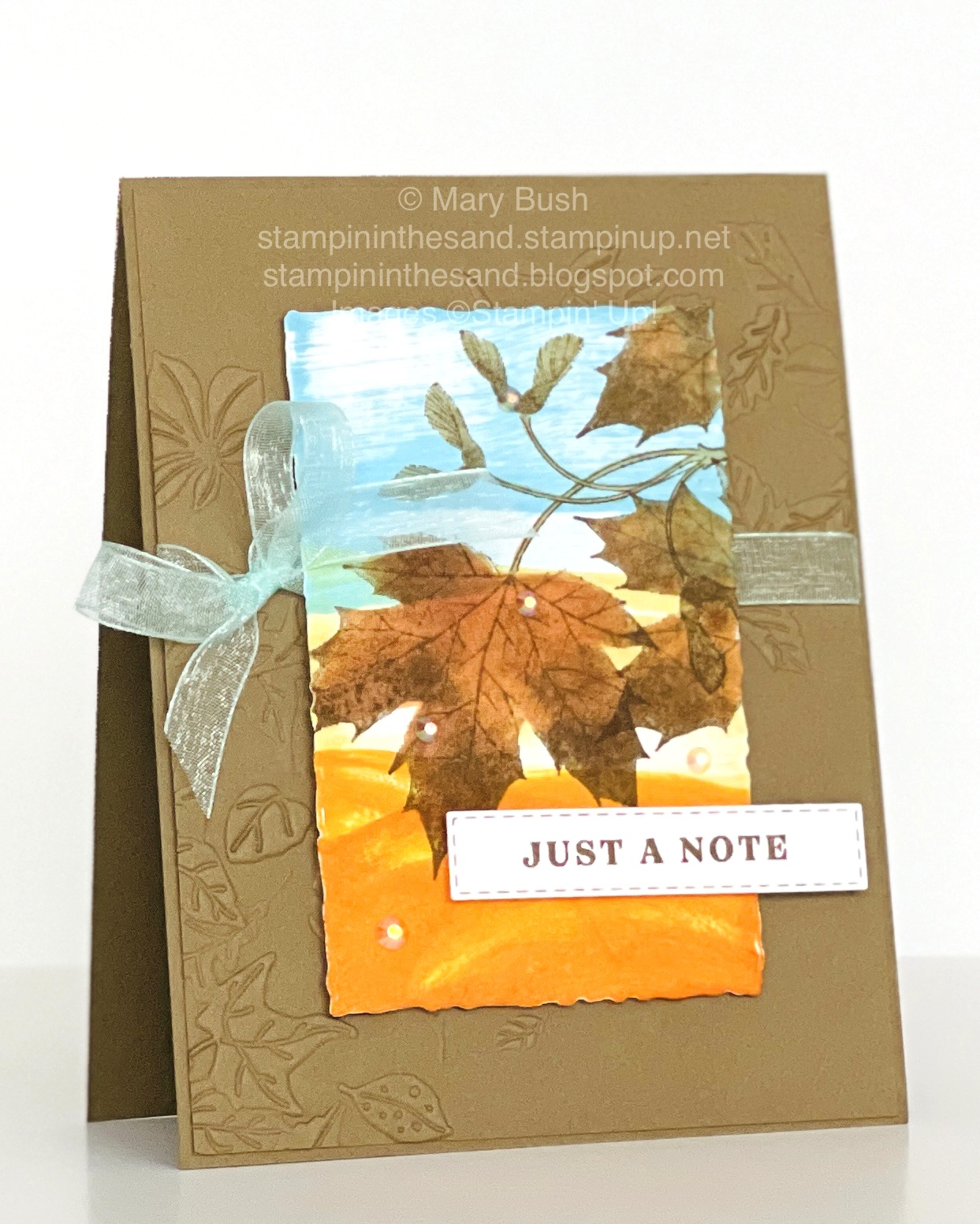 Softseedlingsdirecttopapercard