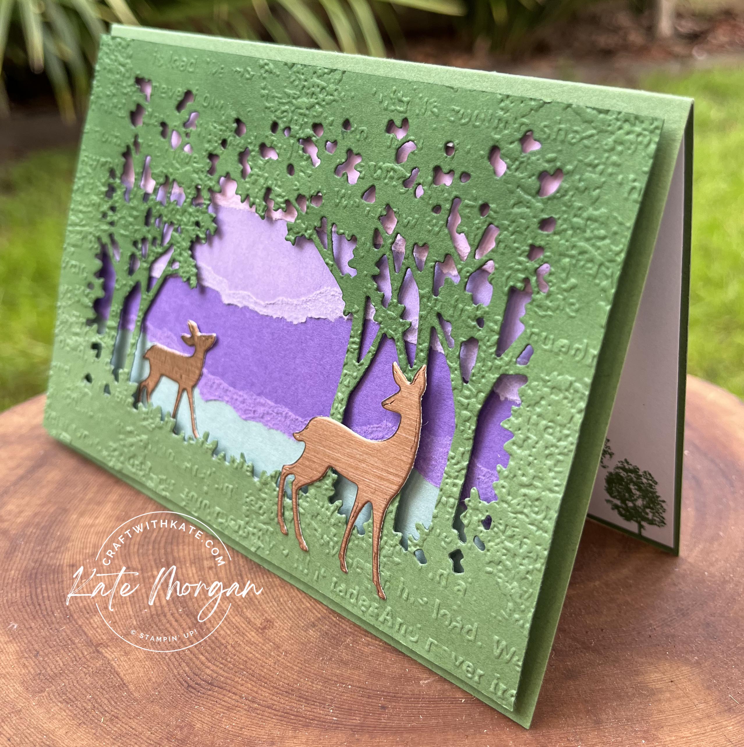 Grassy grove with torn background card by kate morgan  stampin up australia 2022 side