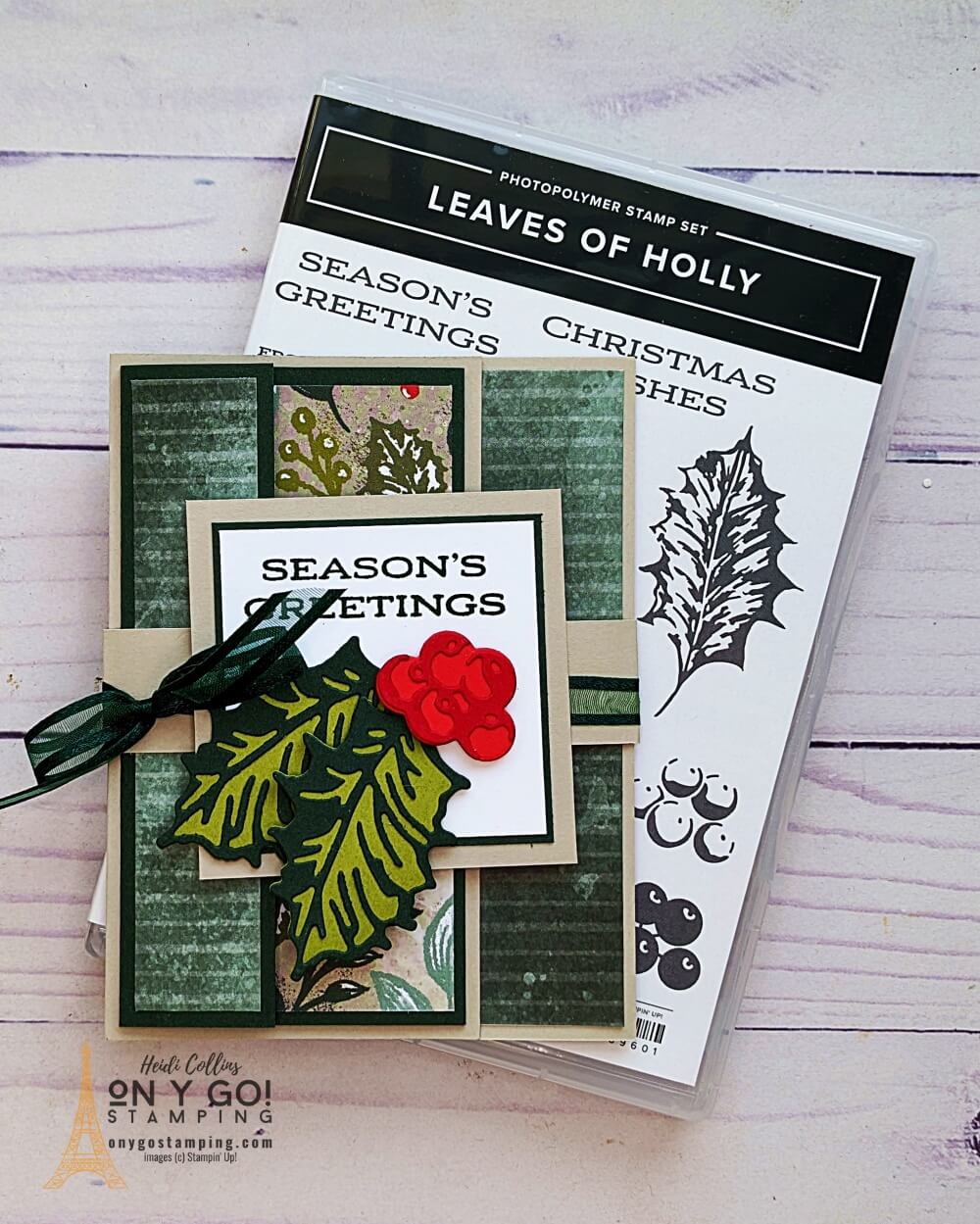 Tri fold leaves of holly