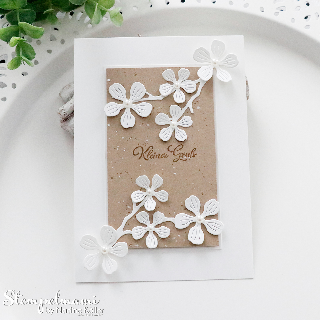 Stampin up clean and simple grusskarte mit apfelblueten karte selber basteln