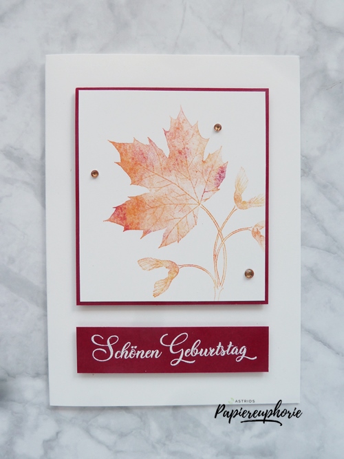 Stampinup babywipetechnik soft seedlings astridspapiereuphorie 2 202209