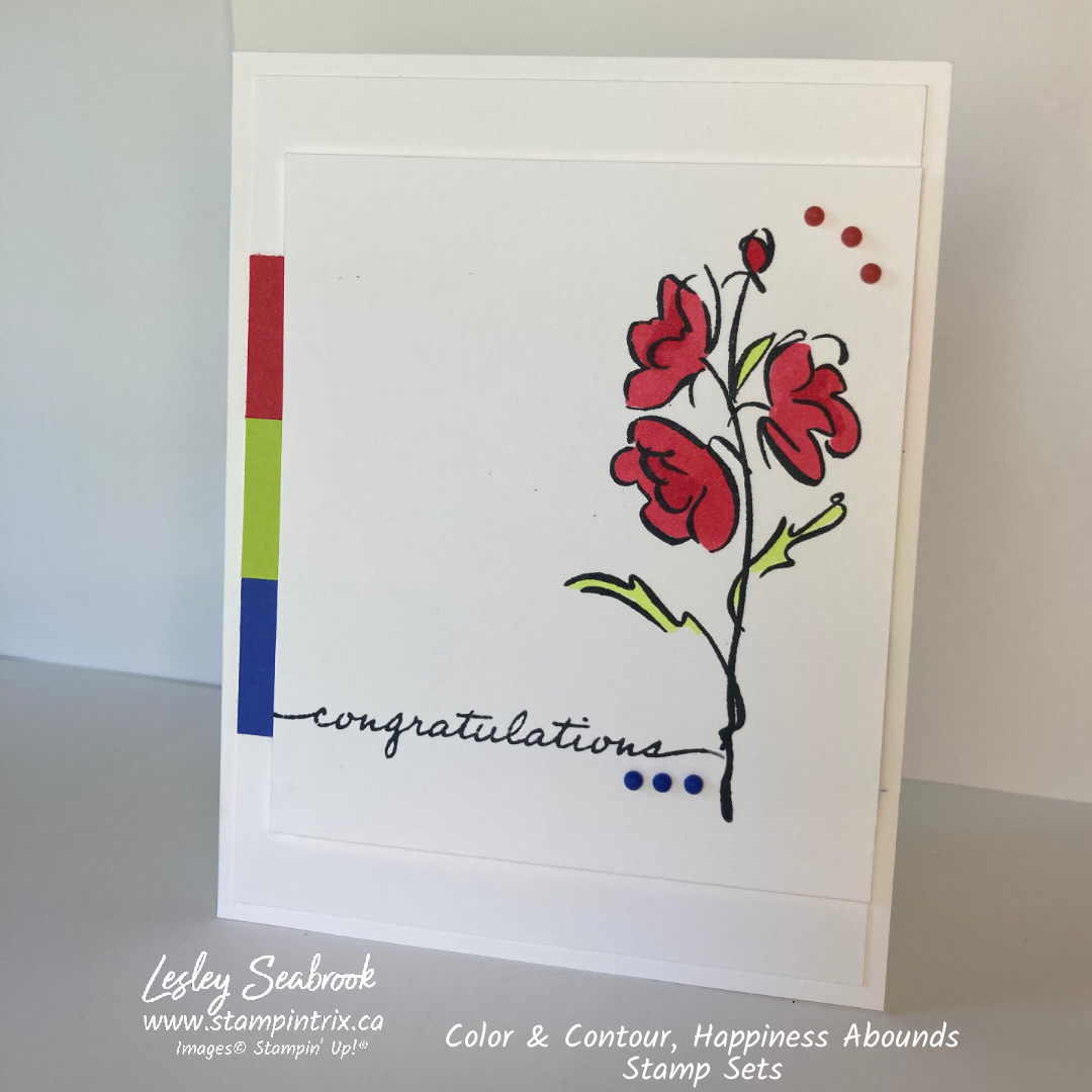 Color   contour   happiness abounds stamp sets