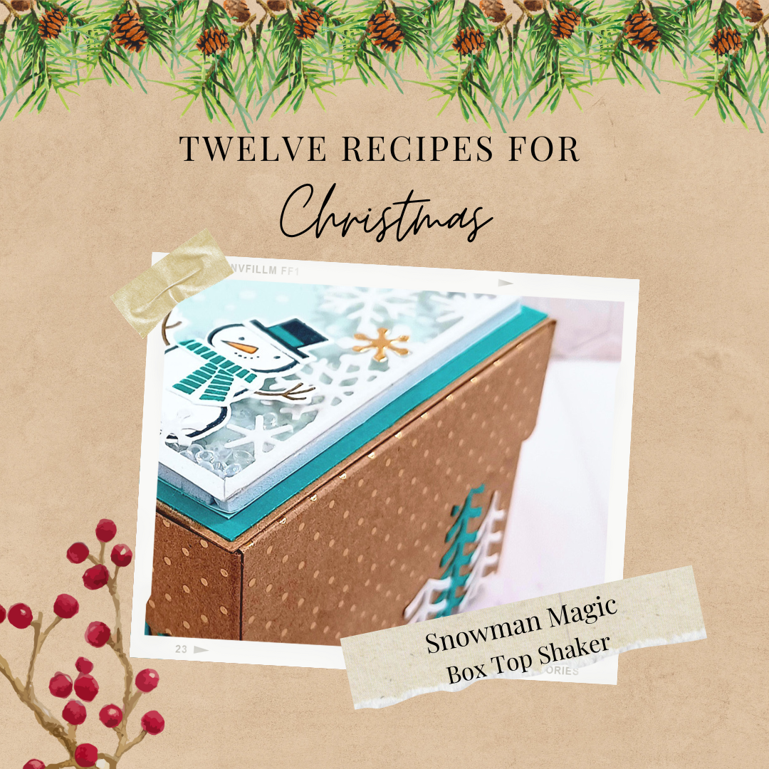 06 snowman magic box top shaker