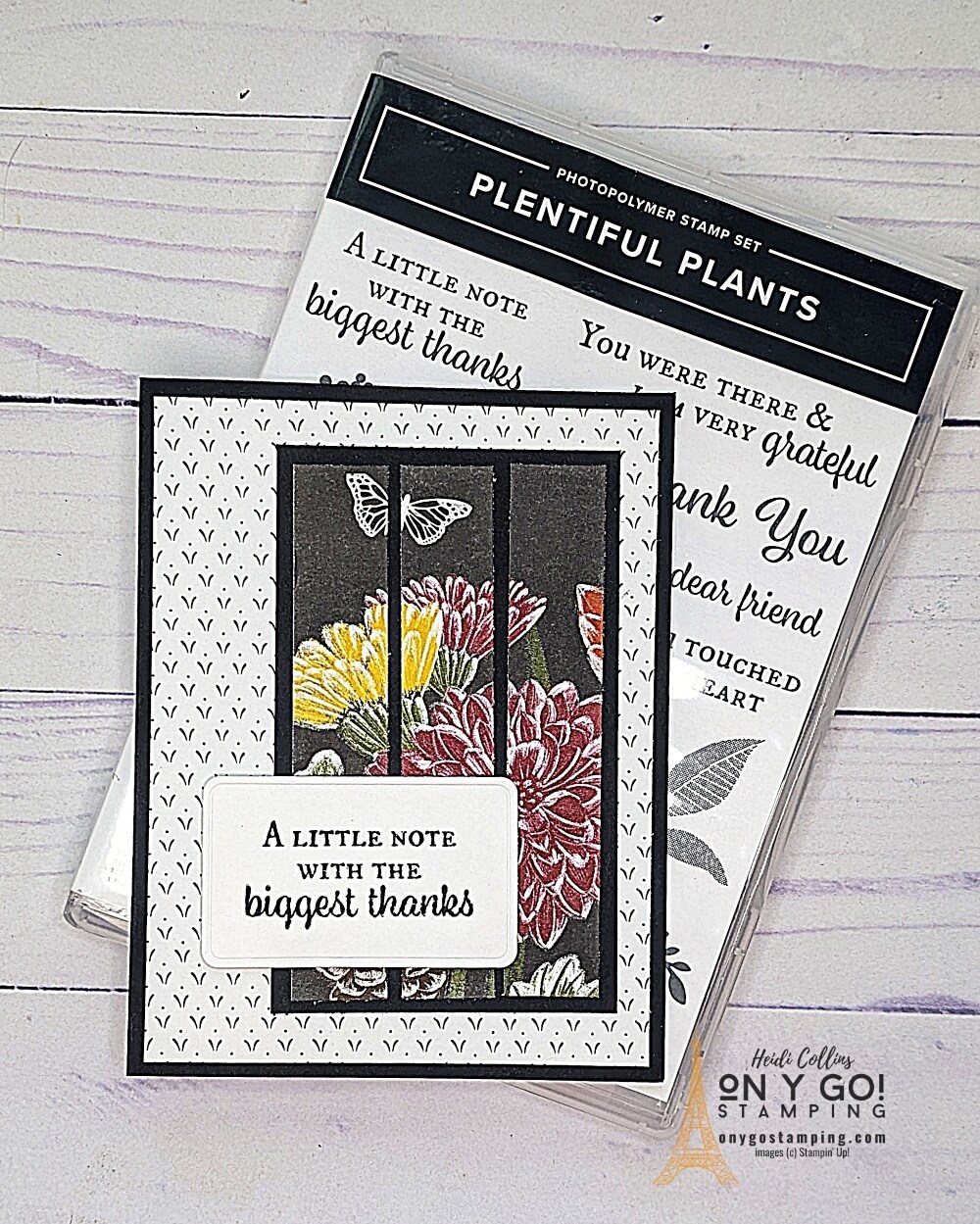 Ms cut dsp plentiful plants
