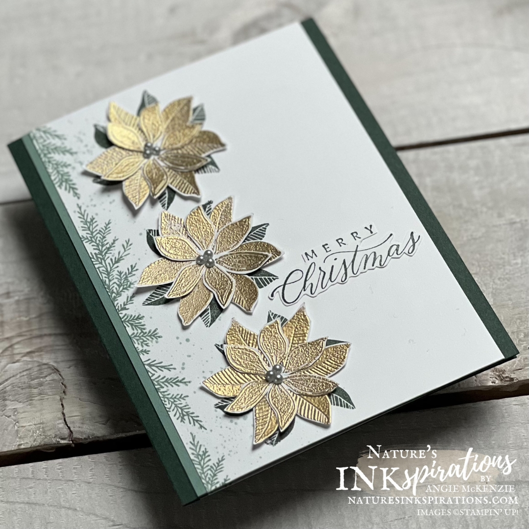 Merriest moments poinsettia christmas card  angle 