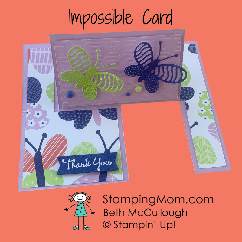 Best butterflies voting card dec  1 