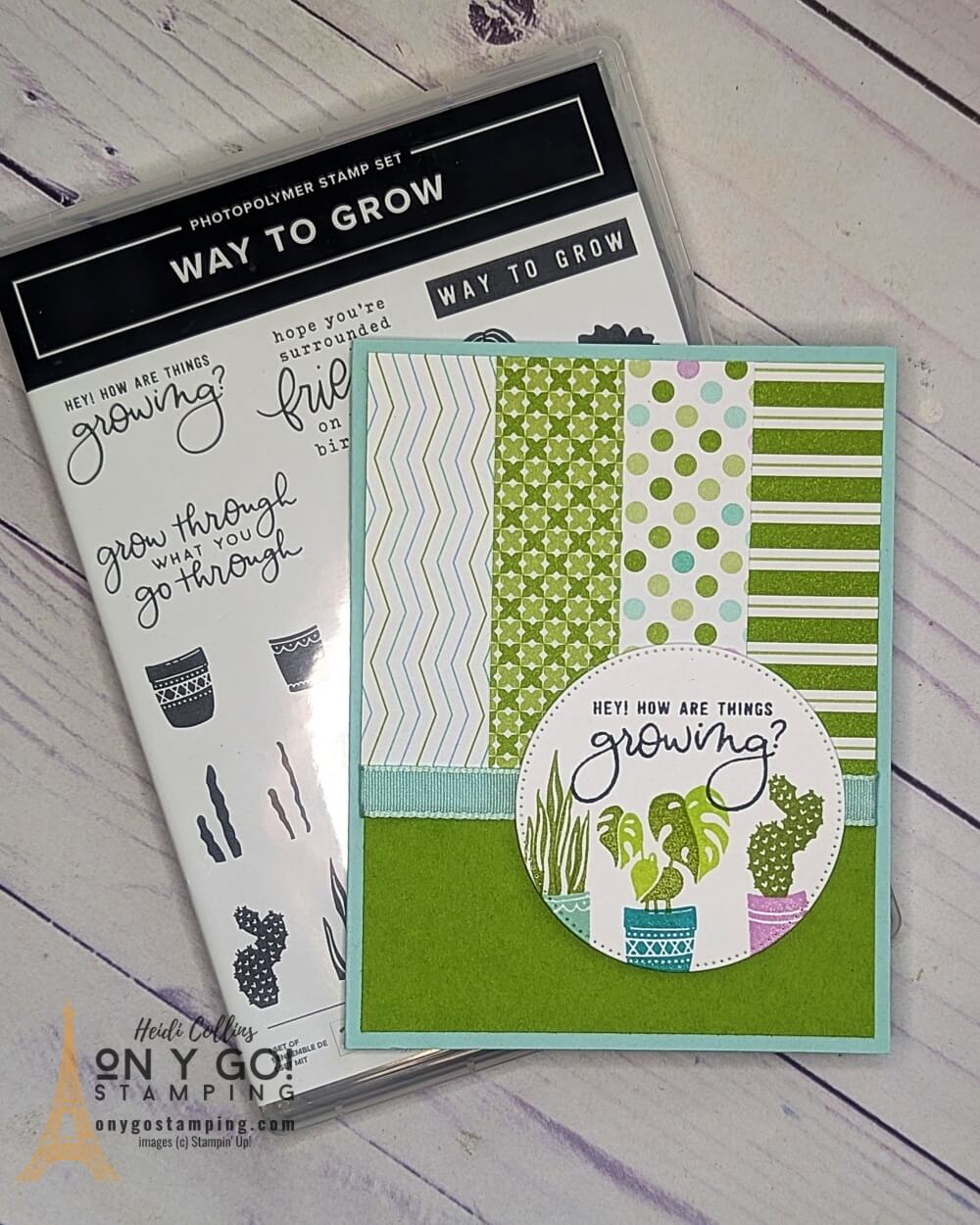 Ms top strips way to grow