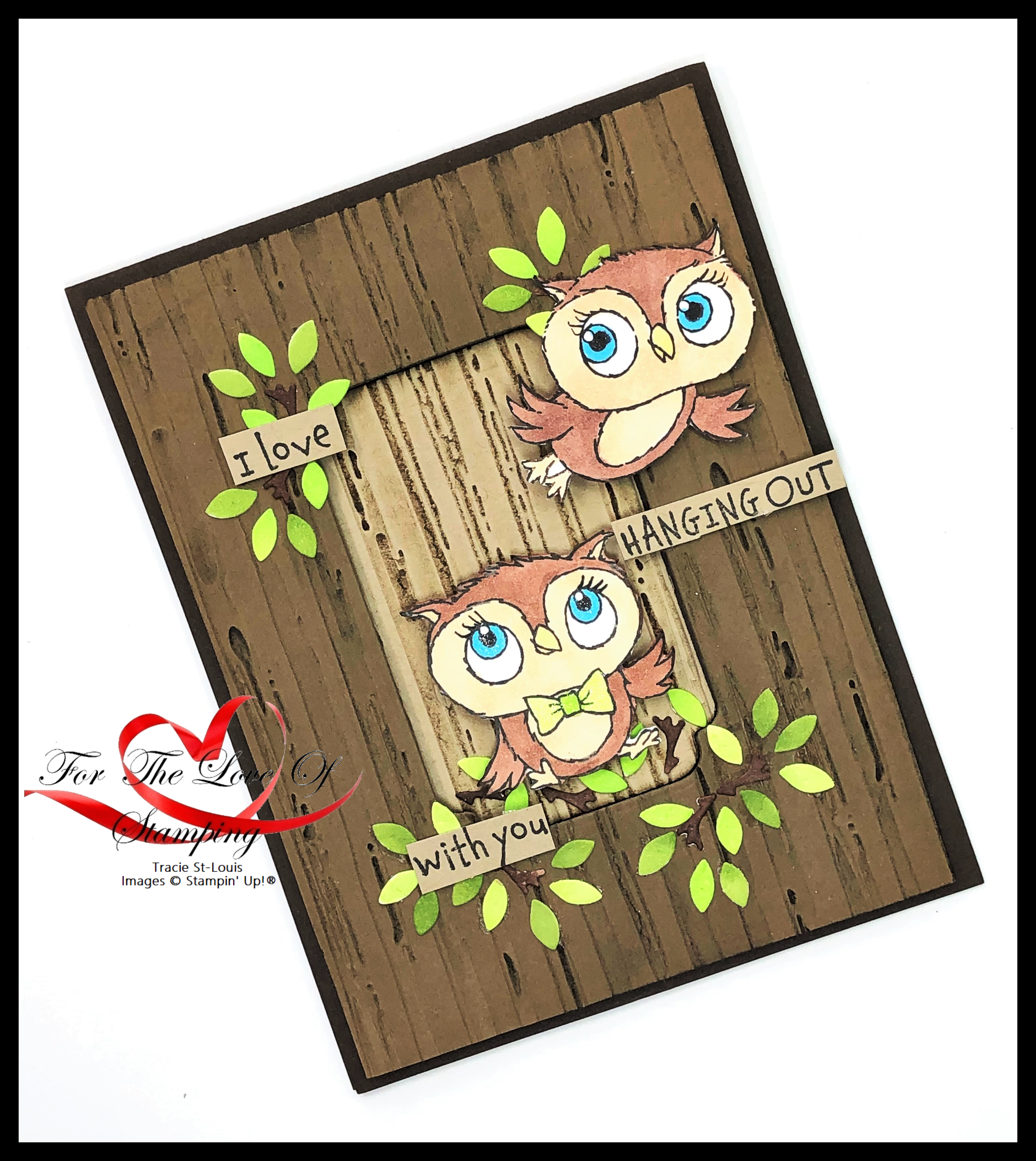 Owls spending time