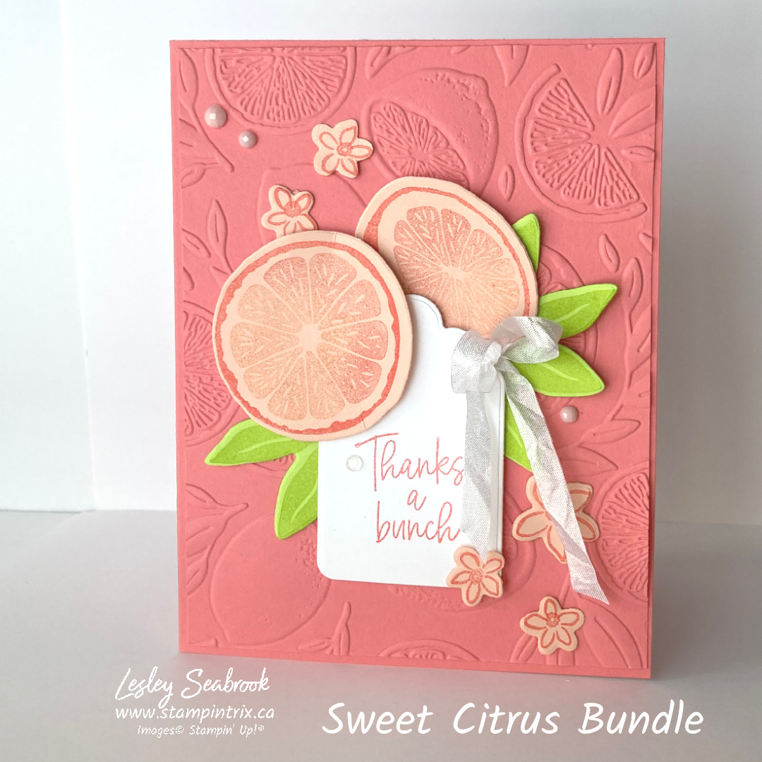Sweet citrus bundle flirty flamingo   petal  pink