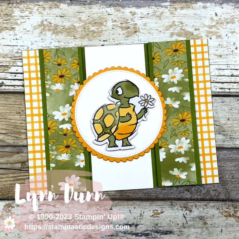 Turtle fun fold card   playing in the rain