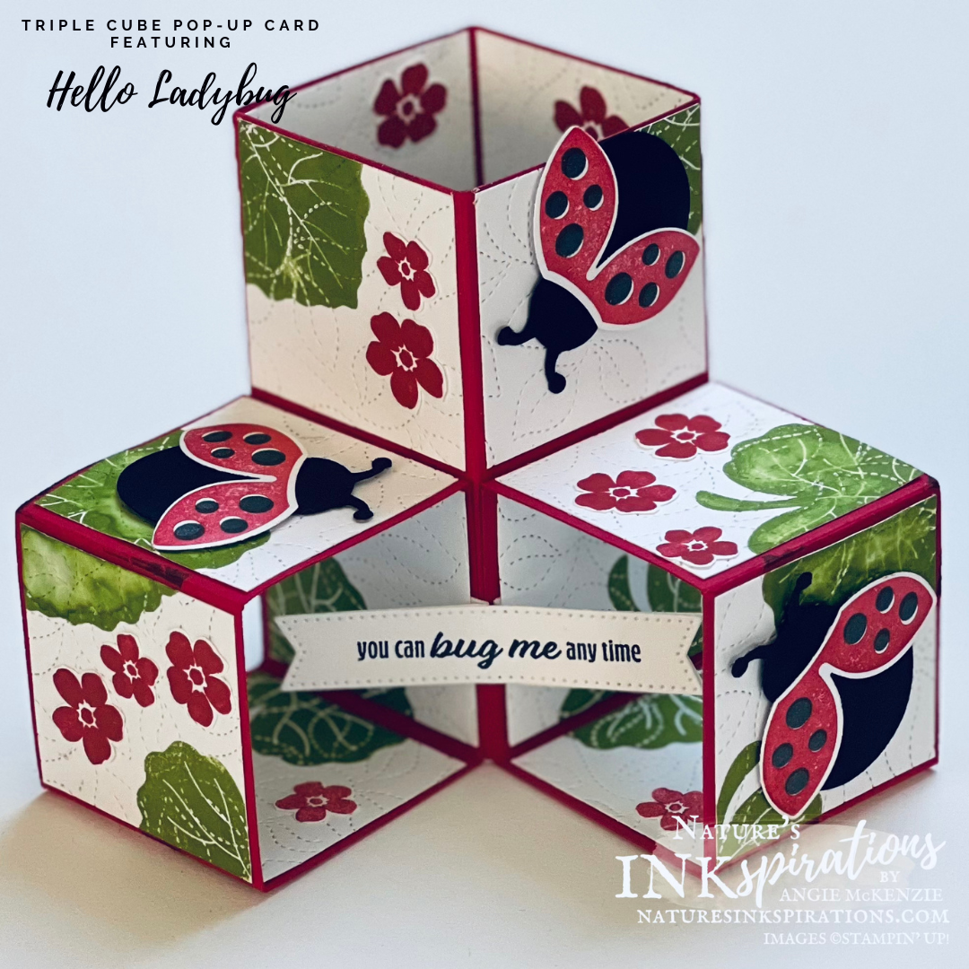 Hello ladybug triple cube pop up card    jan 2023
