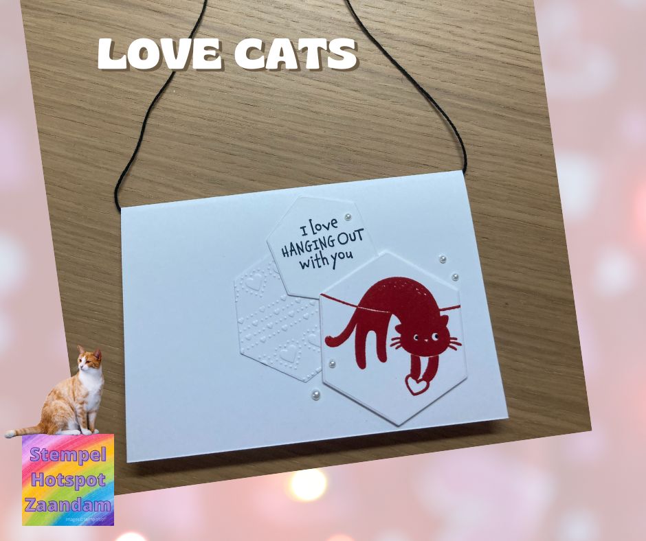 Love cats