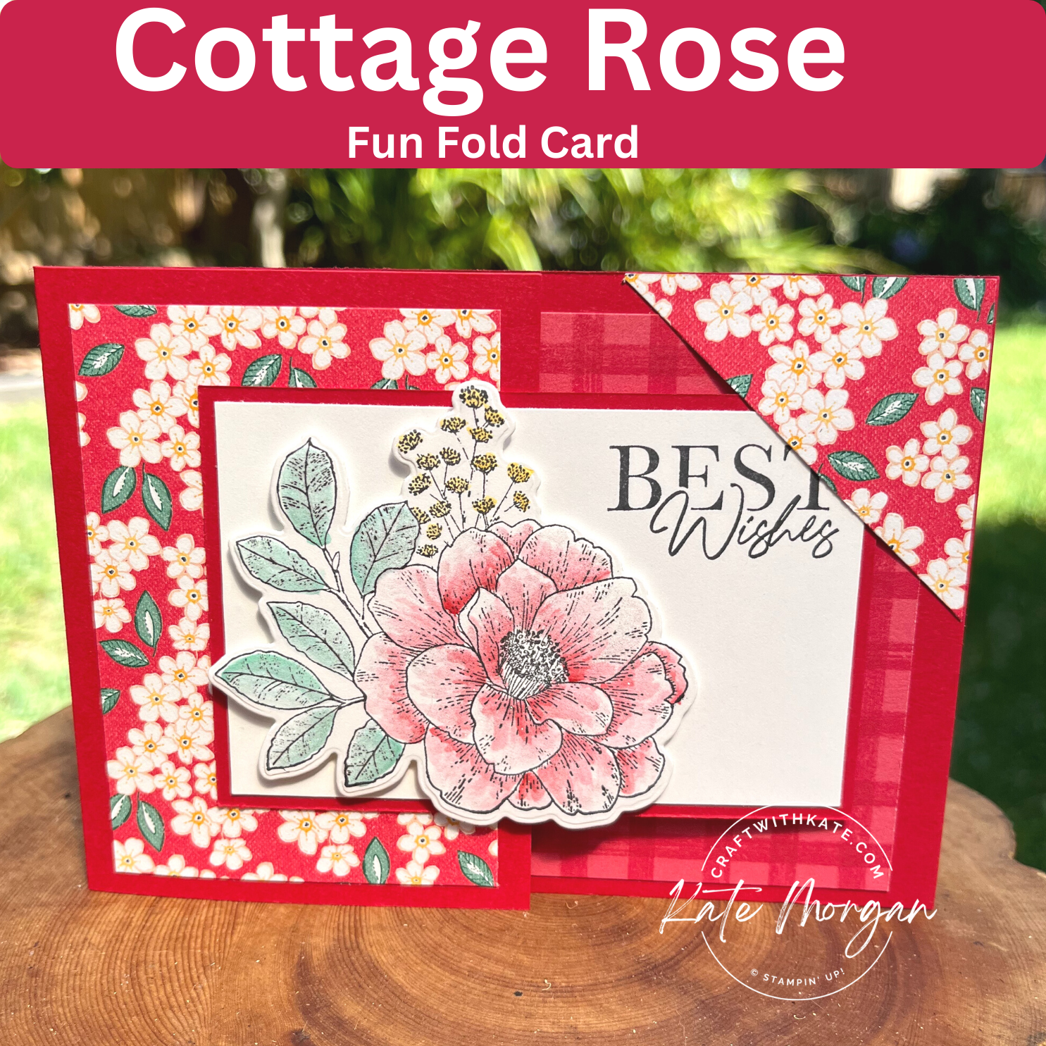 Cottage rose feminine fancy fold card by kate morgan  stampin up australia 2023