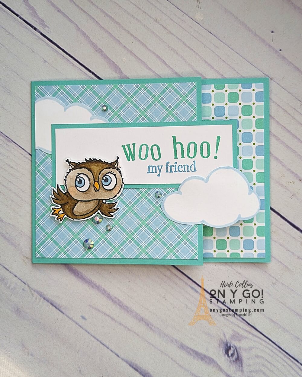 Fun fold cut and flip skinny adorable owls