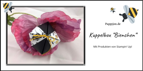 Kuppelbox bienchen