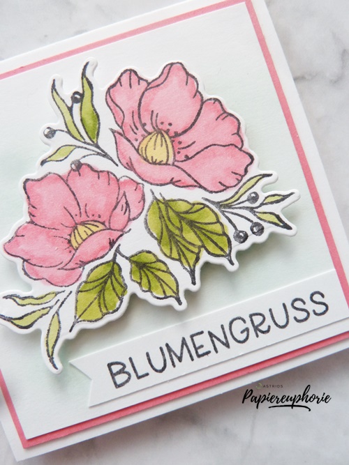 Stampinup stampinfirst flower power gerahmt mit blumen astridspapiereuphorie 4 202303