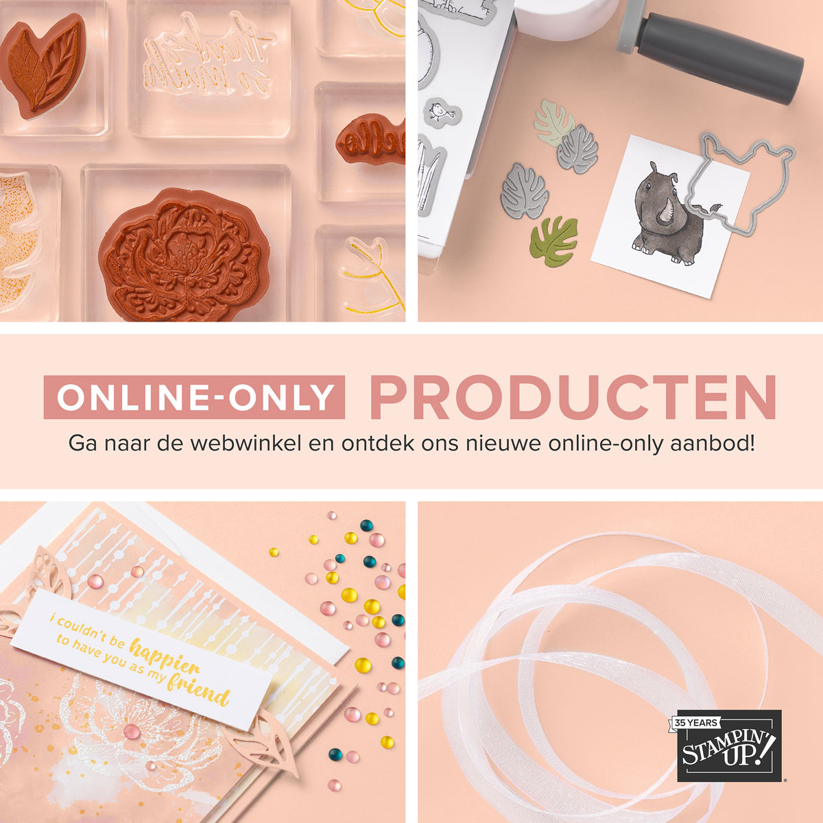 Dbws mktl sqr nl 0223 online exclusives