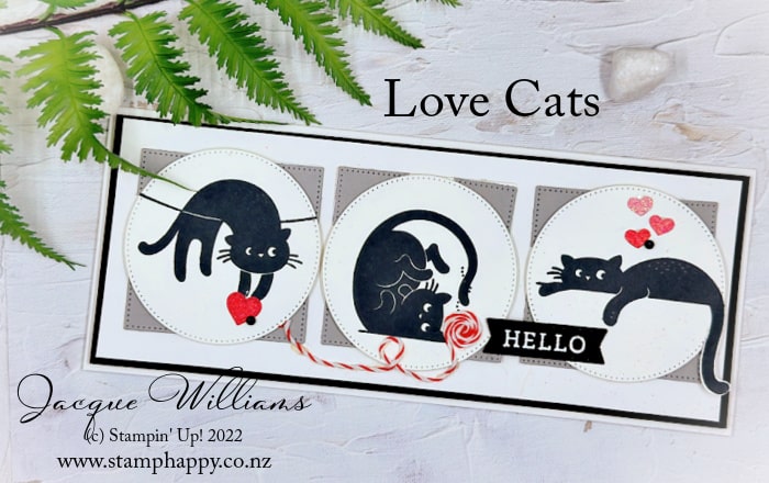 Stampin up love cats slimline black embossing powder sweet sorbet cas min