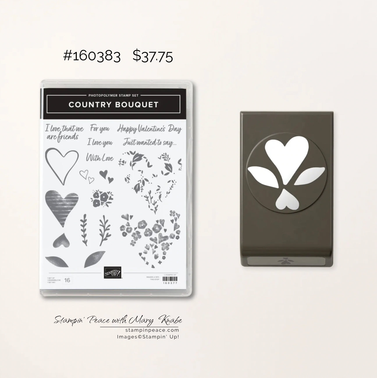 Stampin  up  country bouquet bundle   mary knabe  1 