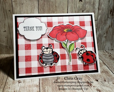 Ladybug thank you   edited