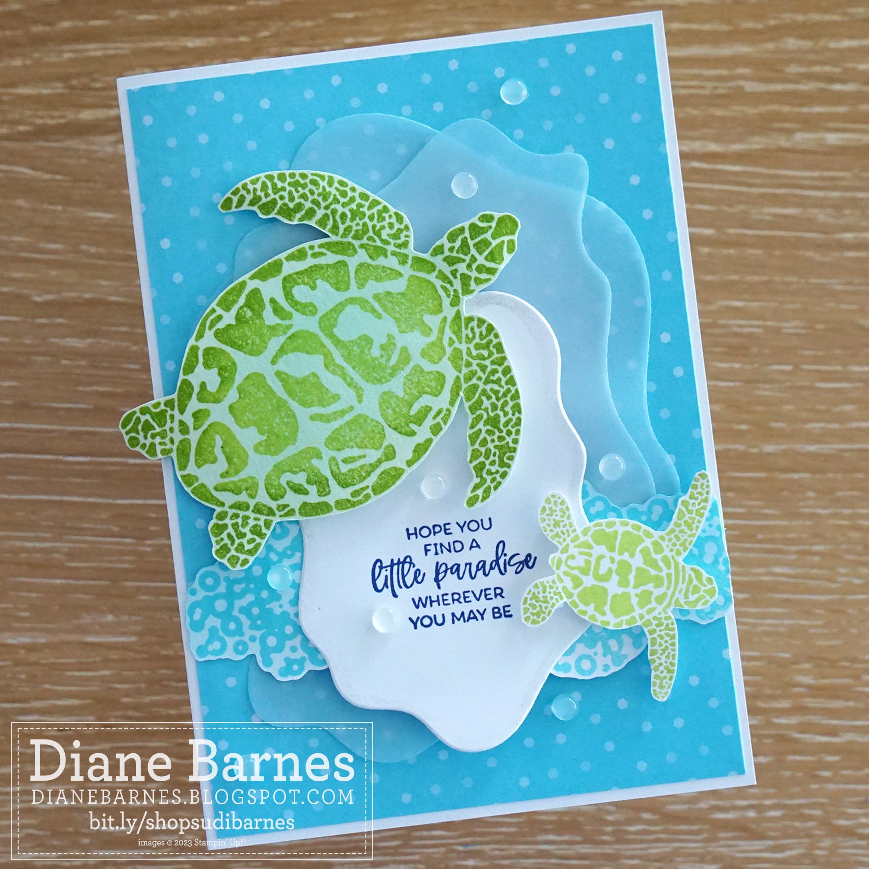230320 sea turtle diorama 1