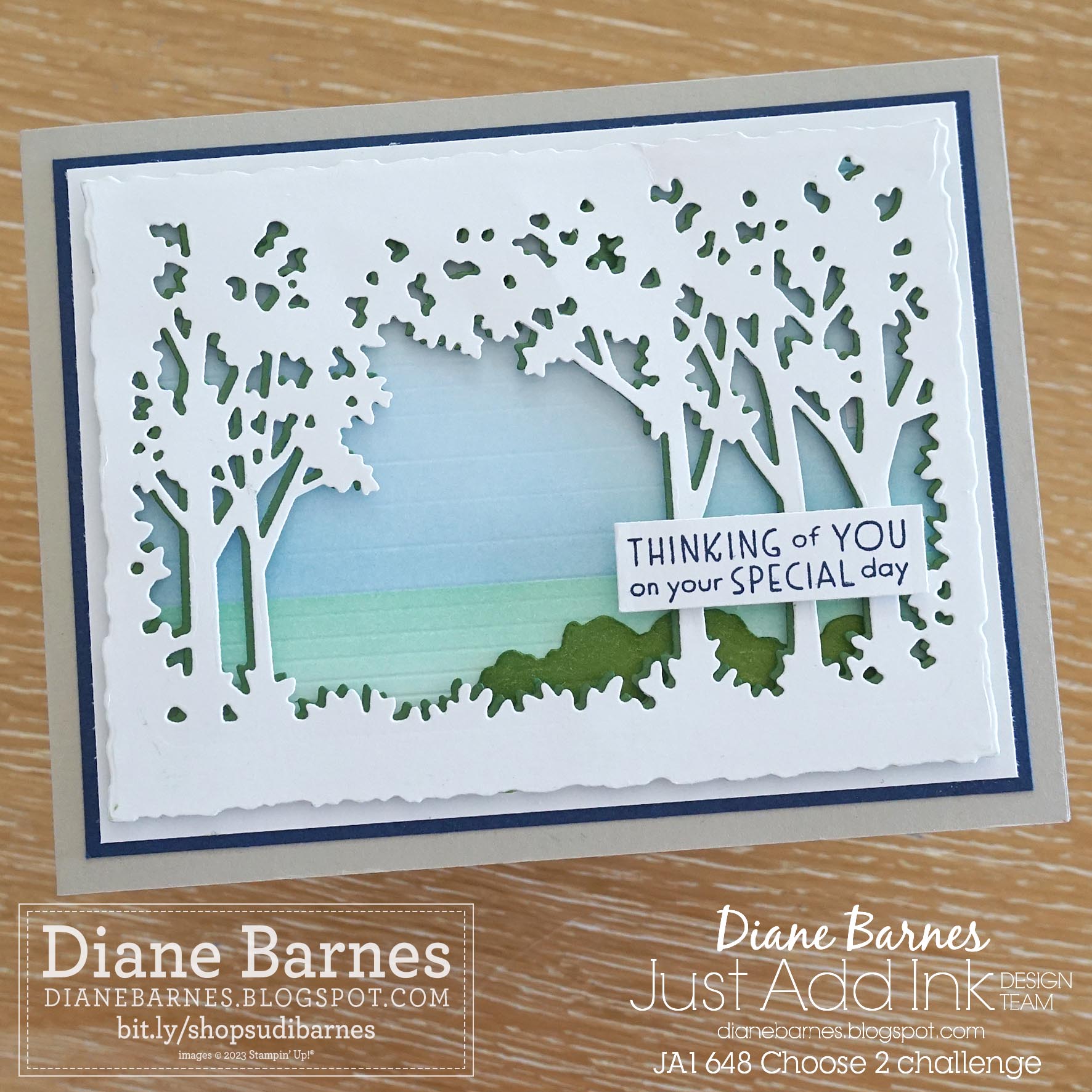 230411 coastal grove birthday card jai 648 1