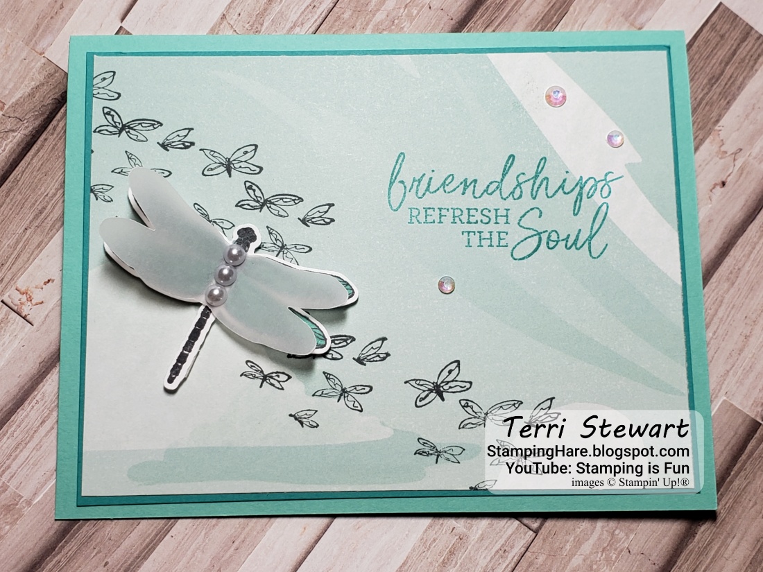 Dragonfly garden with enjoy the journey dsp