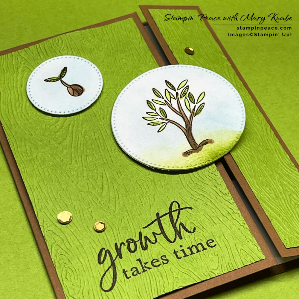 Stampin  up  growth takes time stamp set   mary knabe  5 
