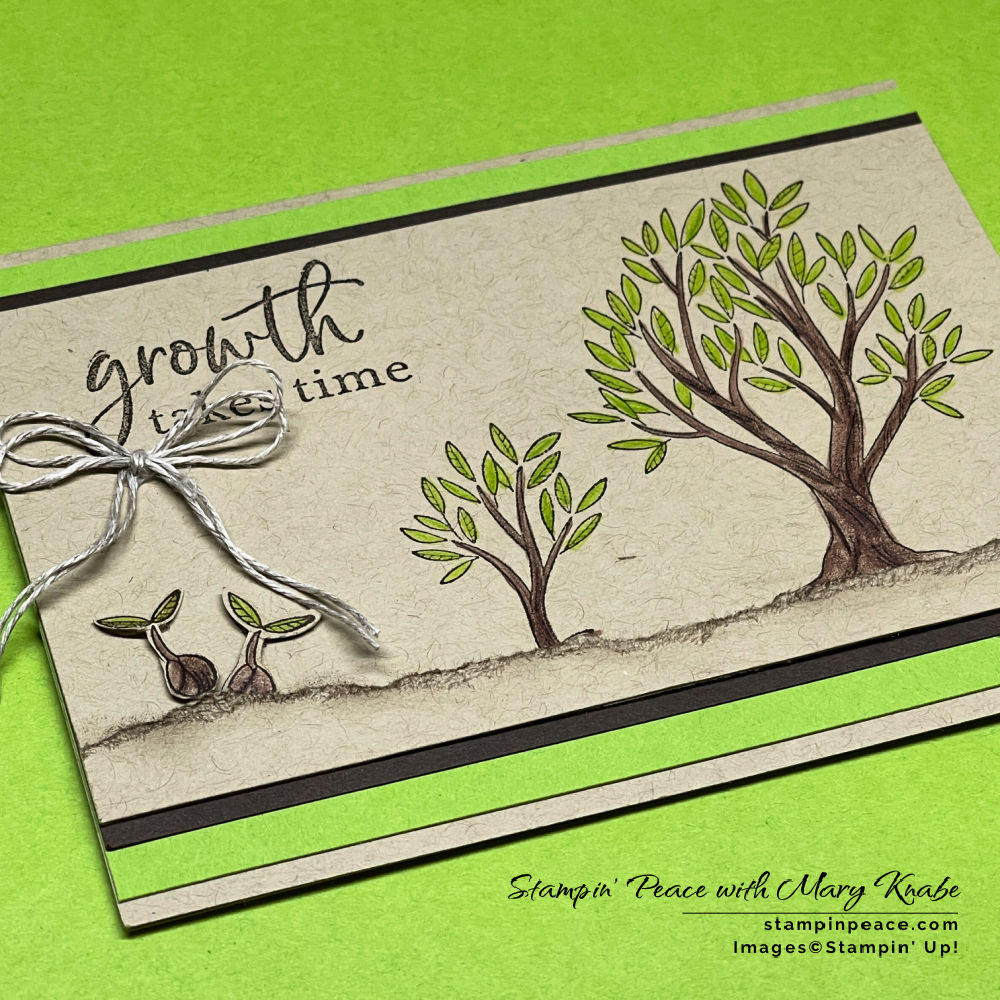 Stampin  up  growth takes time stamp set   mary knabe