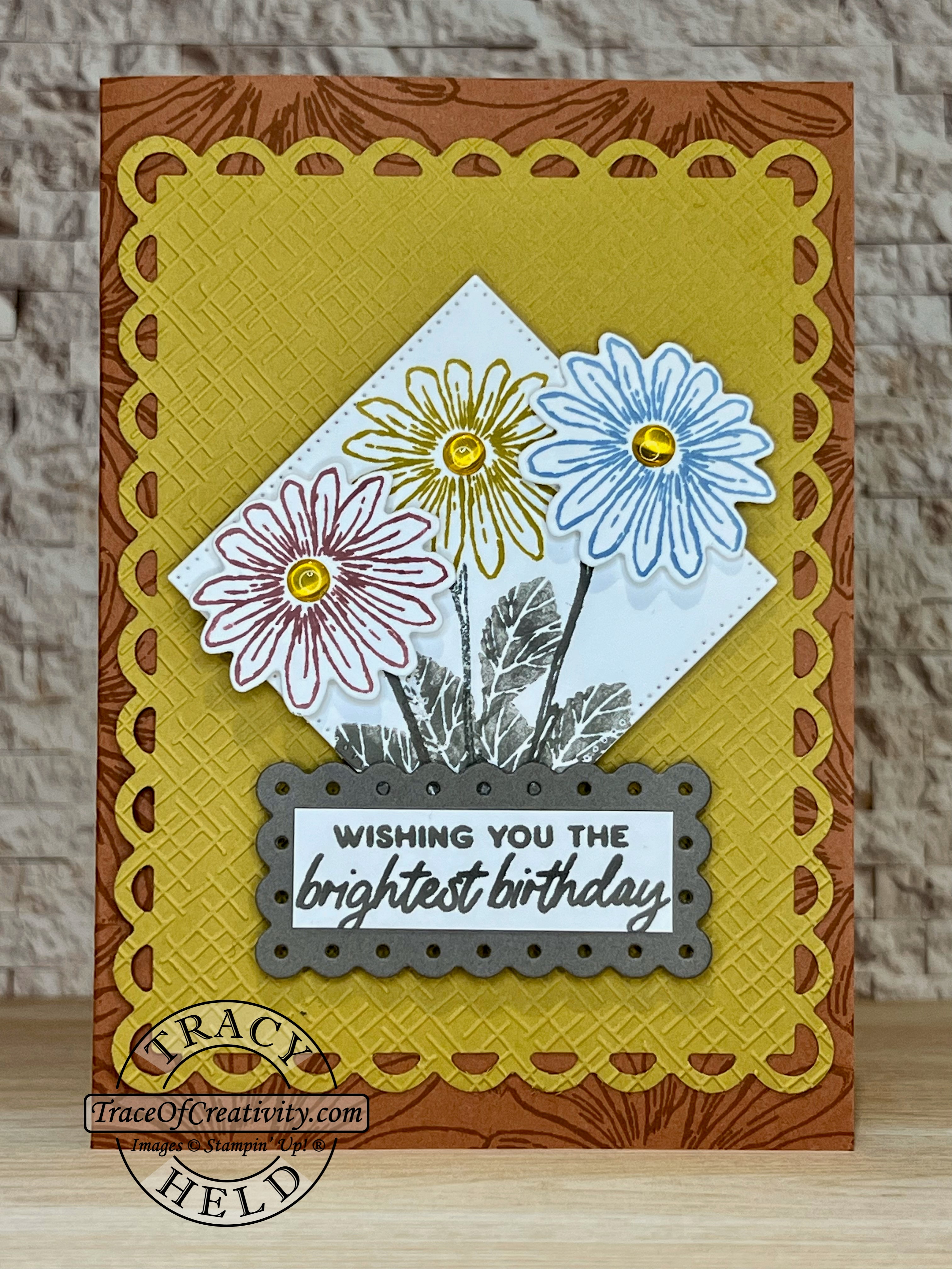 Cheerful daisy in colors