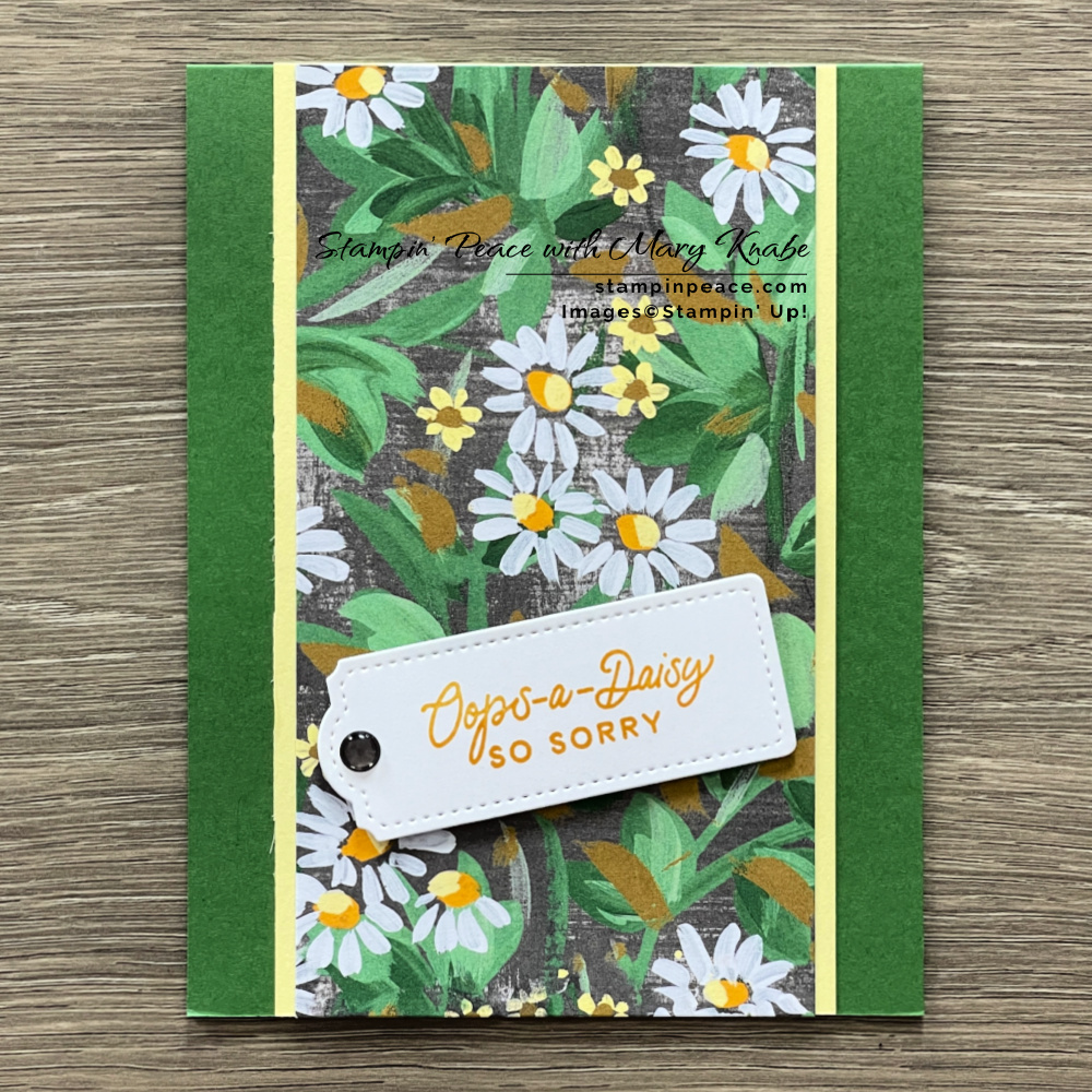 Stampin  up  cheerful daisy stamp set   fresh as a daisy dsp   mary knabe  6 