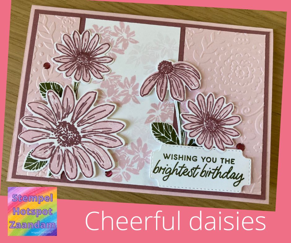 Cheerful daisies