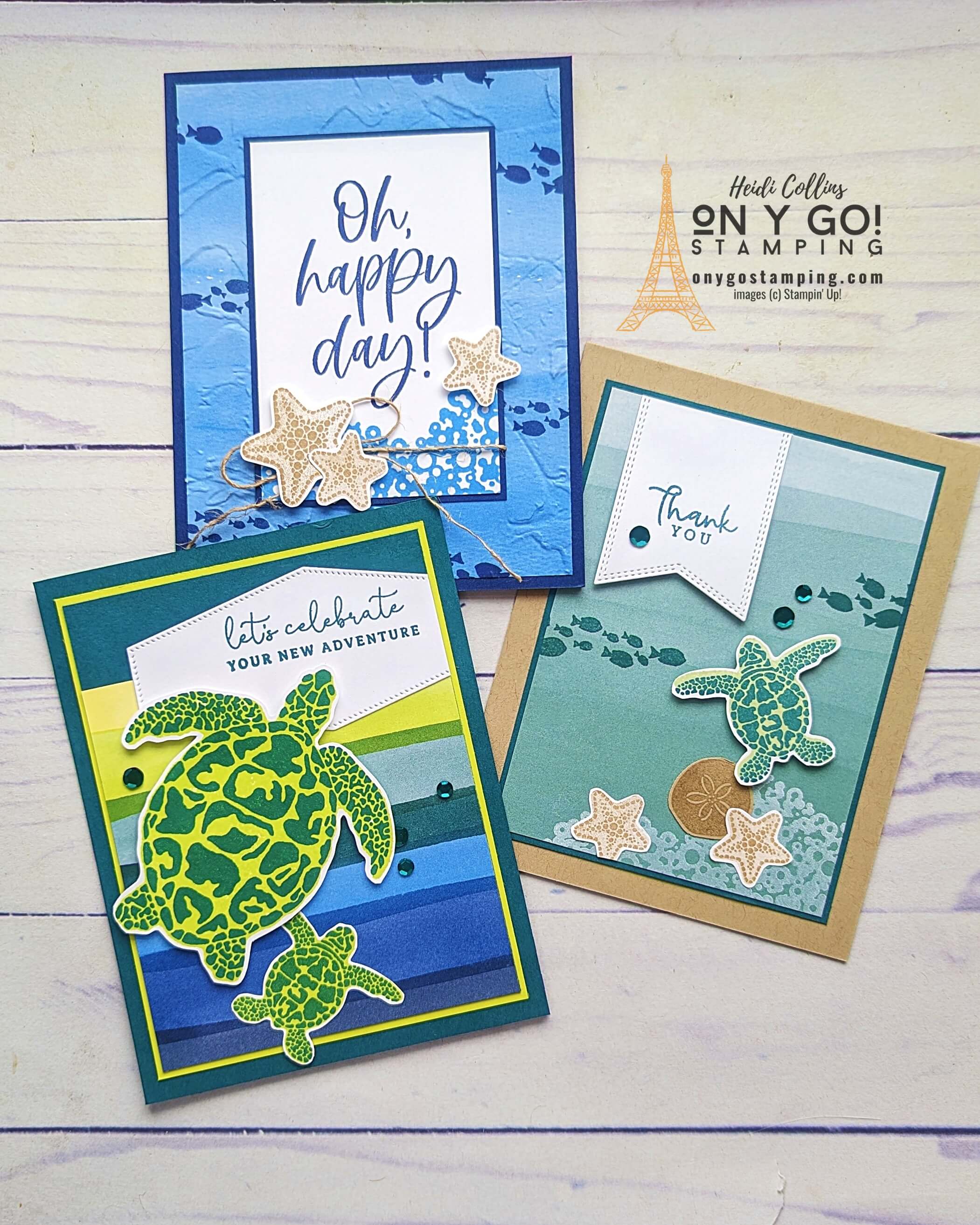 Bright sea turtles group