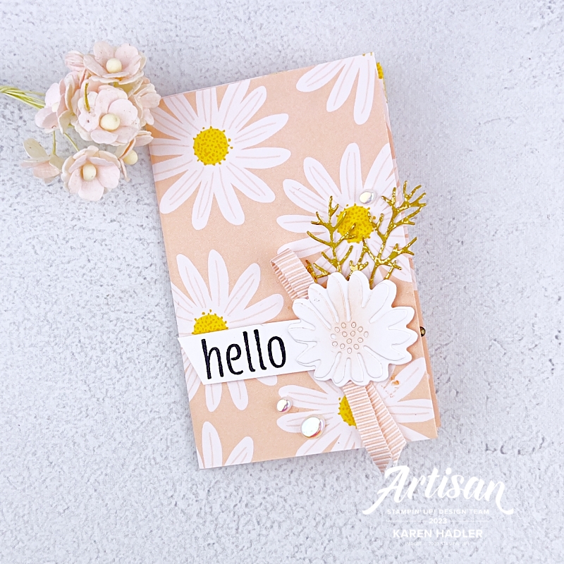 Fun fold mini booklet with delightfully eclectic dsp