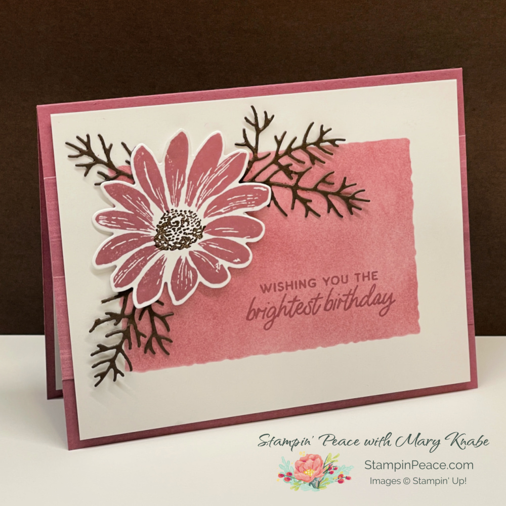 Stampin  up  fresh as a daisy suite   mary knabe  3 