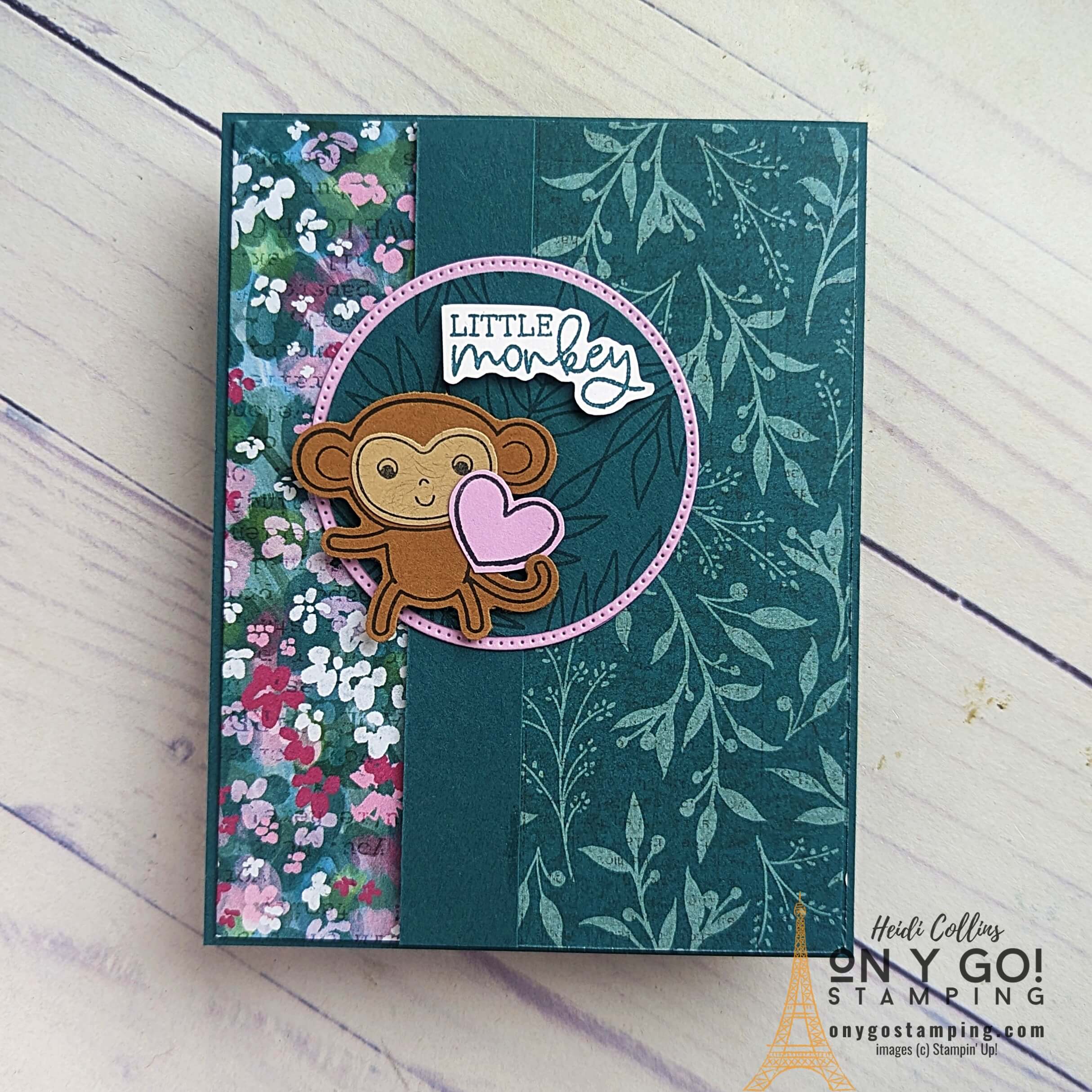 Accordion fun fold little monkey