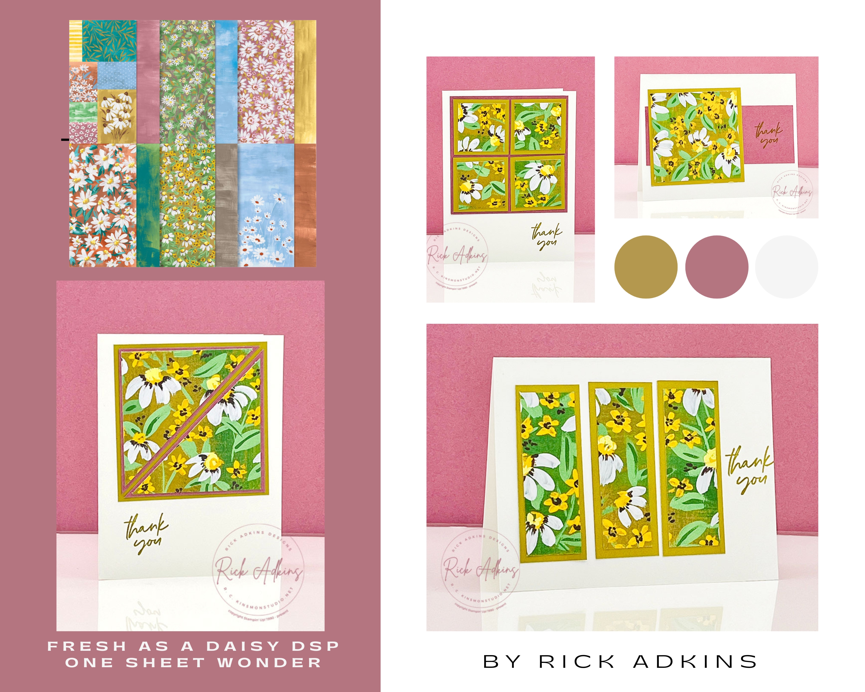 Fresh as a daisy 6 x 6 one sheet wonder cards   colors