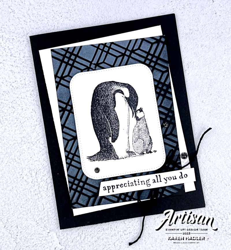 Sweet and precious penguins