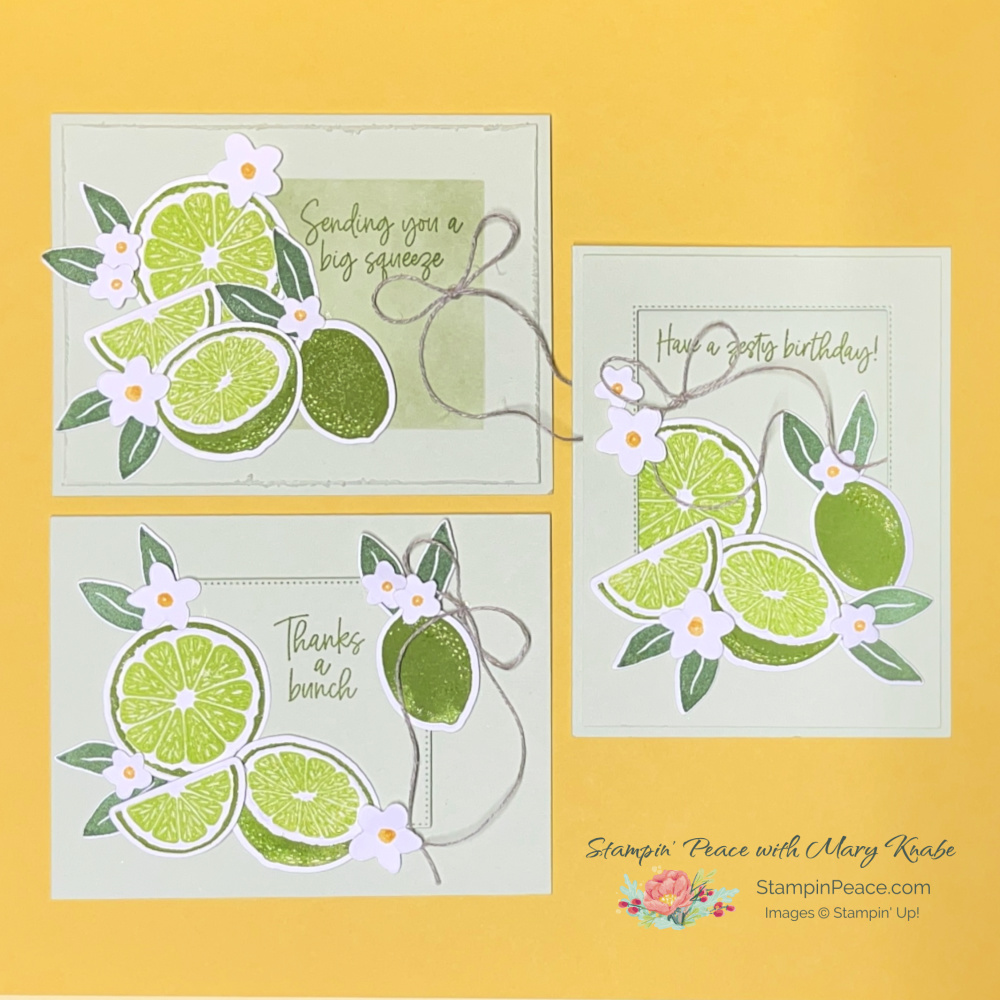Stampin  up  sweet citrus bundle   mary knabe  5 