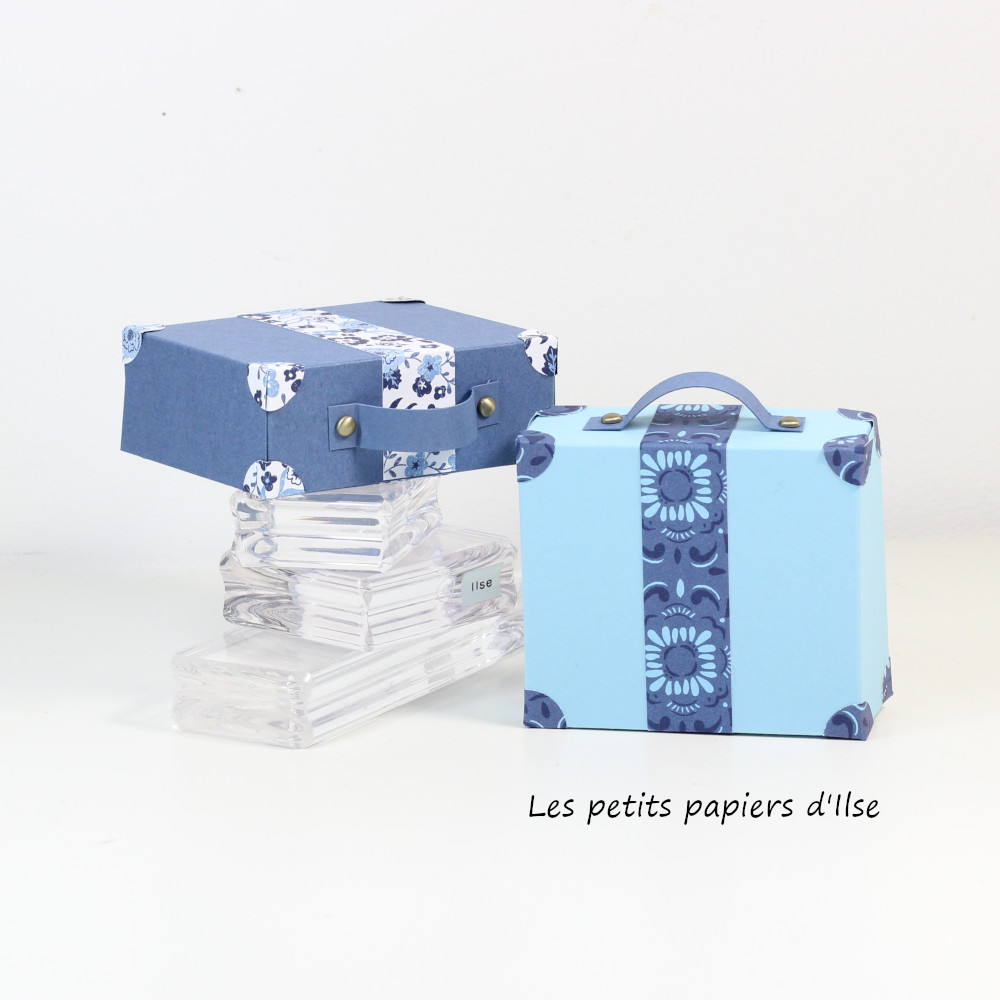 Valise vignette