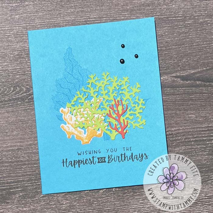 July swap tammy