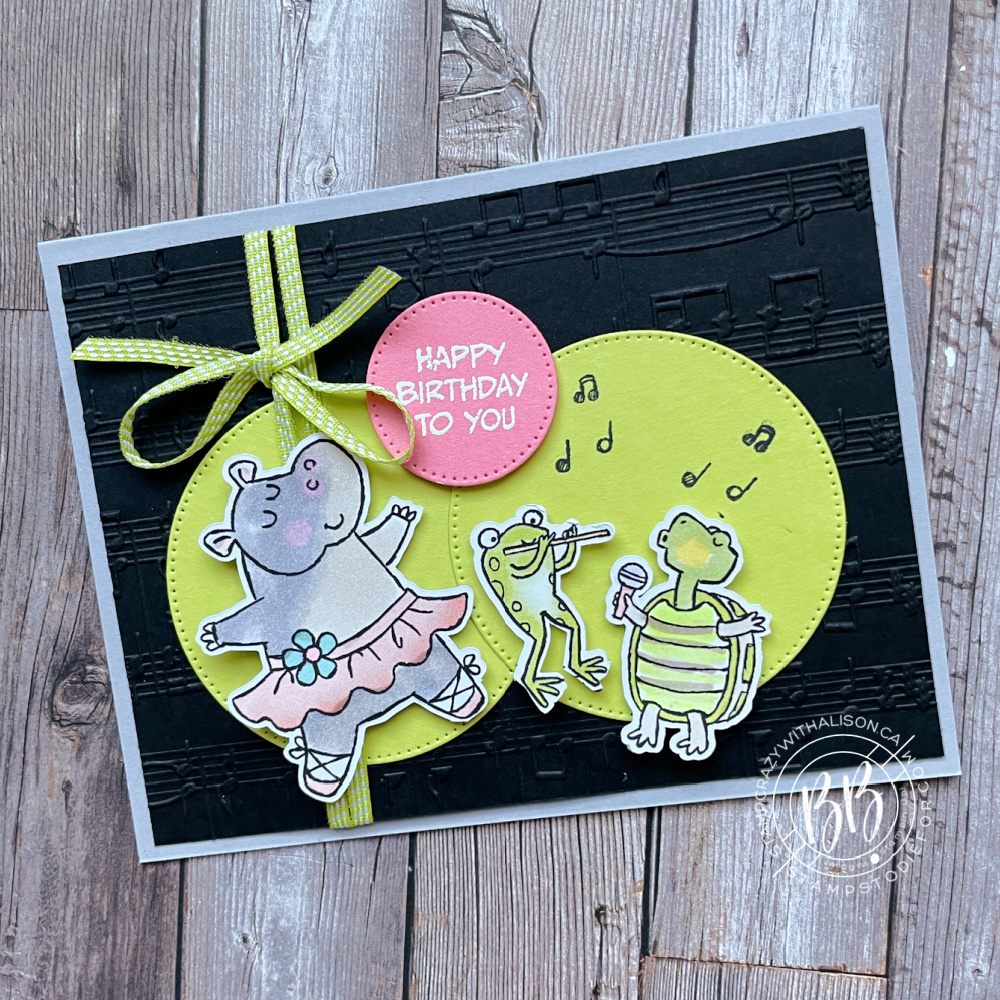 Zany zoo bundle 2